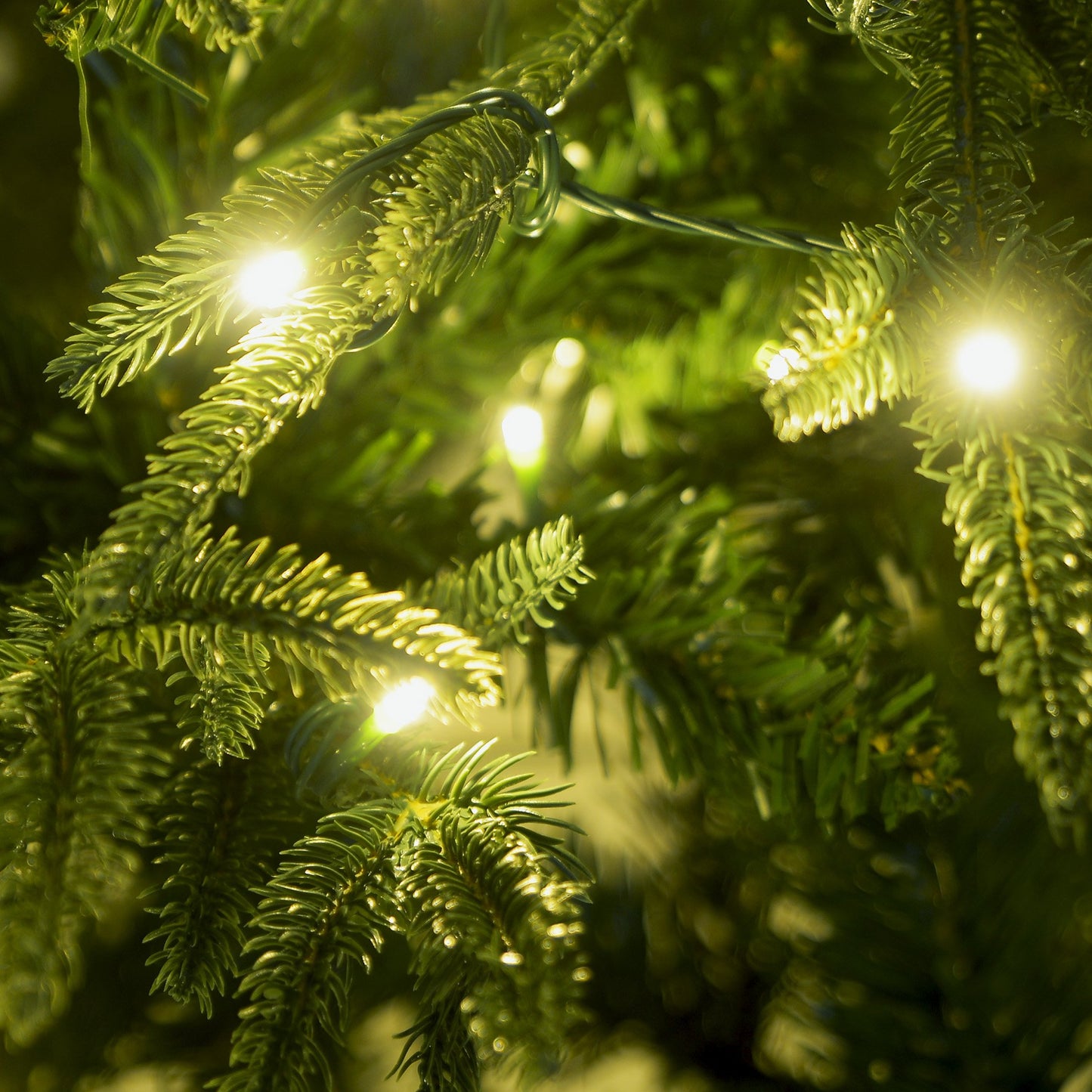 Christabelle 1.2m Prelit Everglow Fir Christmas Tree with 150 LED Lights - ShopFrenzy