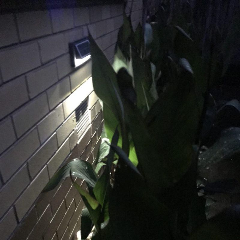 Solar Step Lights - ShopFrenzy
