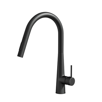 Kitchen Mixer Tap Pull Out Round 2 Mode Sink Basin Faucet Swivel WELS Black - ShopFrenzy