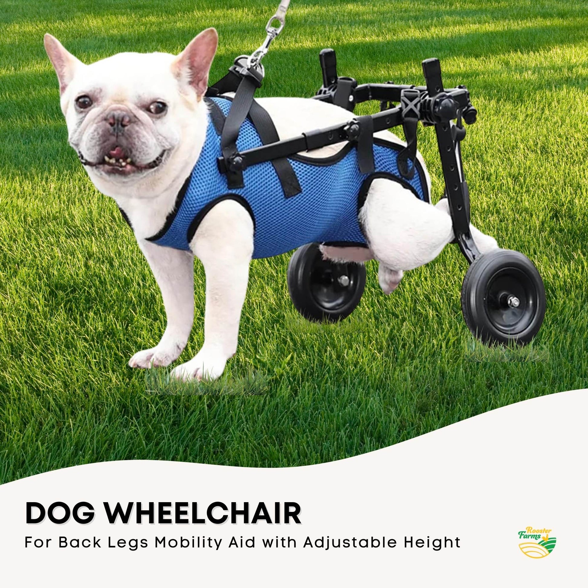Rooster Farms Little Dog Wheelchair Small Harness - Adjustable Back Leg Aid - ShopFrenzy