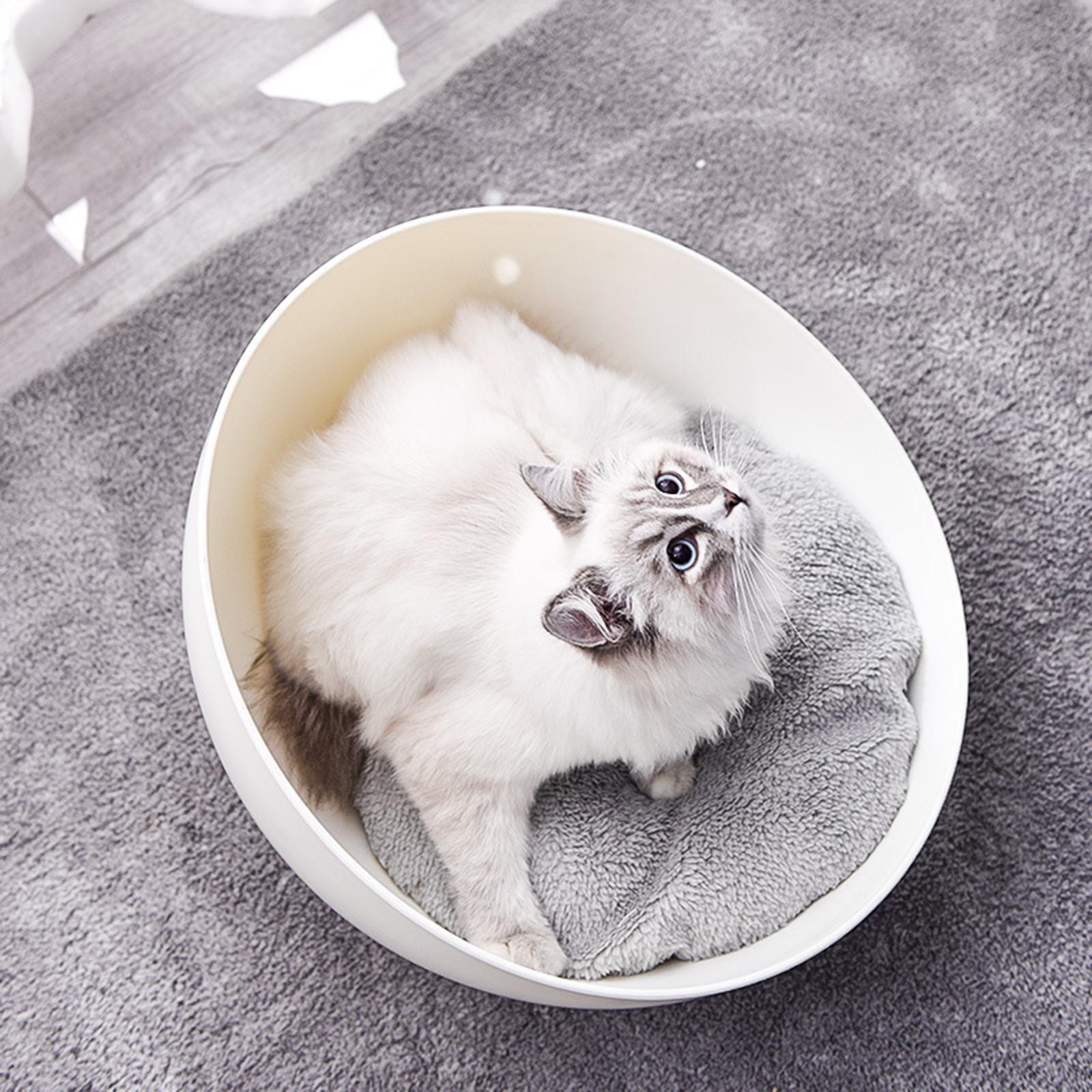 Cat Sphere Bed Nest - ShopFrenzy