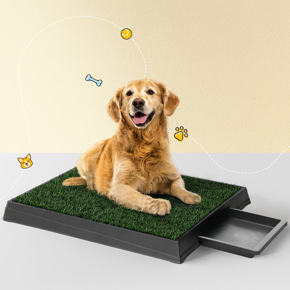 i.Pet Pet Training Pad Dog Potty Toilet Large Loo Portable With Tray Grass Mat - ShopFrenzy