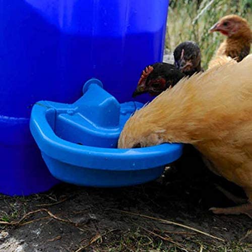 Maxi-Cup Automatic Poultry Waterer Cups x 2 - ShopFrenzy