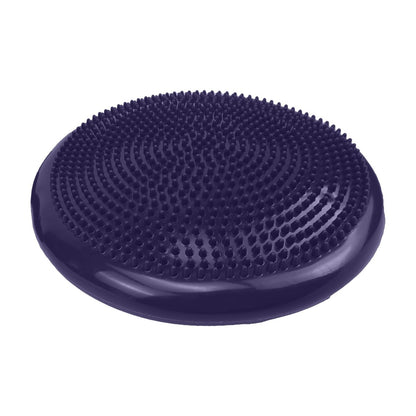 Powertrain Yoga Stability Disc w/ Pump Home Gym Pilate Balance Trainer - Purple - ShopFrenzy