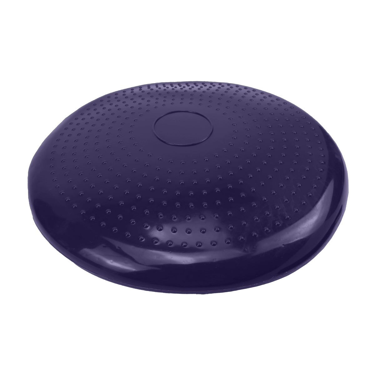 Powertrain Yoga Stability Disc w/ Pump Home Gym Pilate Balance Trainer - Purple - ShopFrenzy