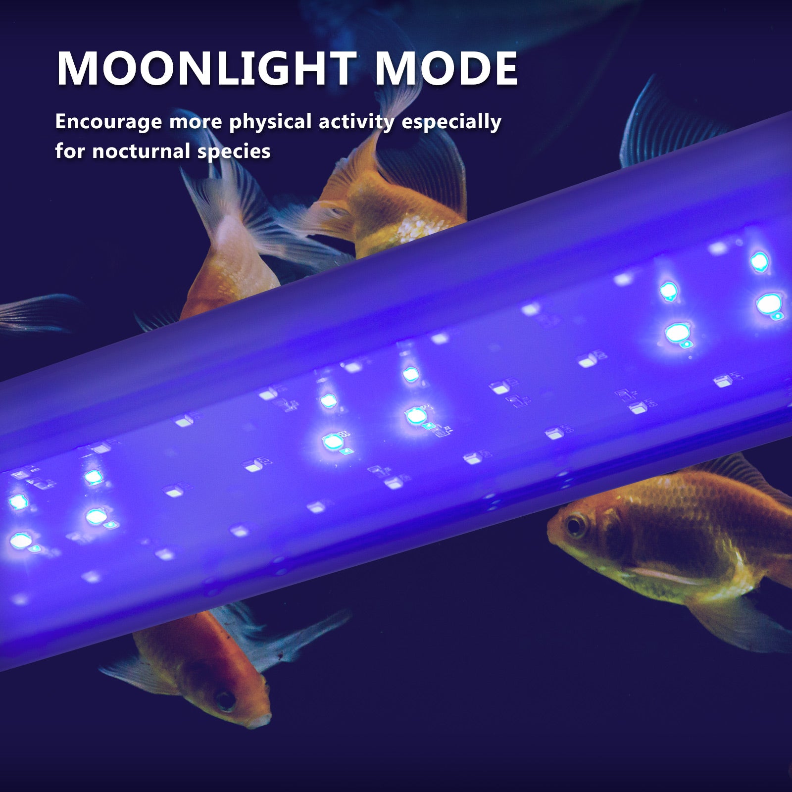11W Aquarium Blue White LED Light for Tank 50-70cm - ShopFrenzy